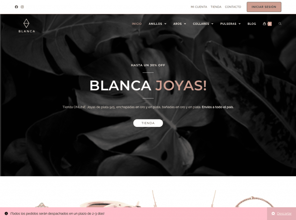 Página web Blanca Joyas